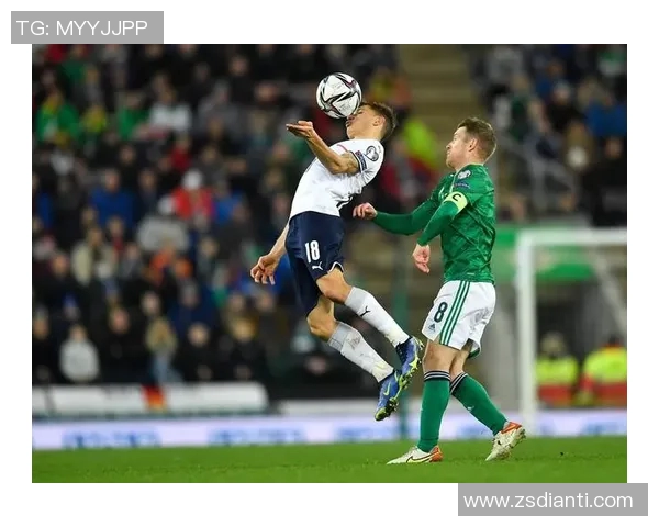 北爱尔兰与韩国精彩对决录像回放分析及赛后点评